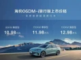 海豹06DM-i旅行版，全能车型引爆市场
